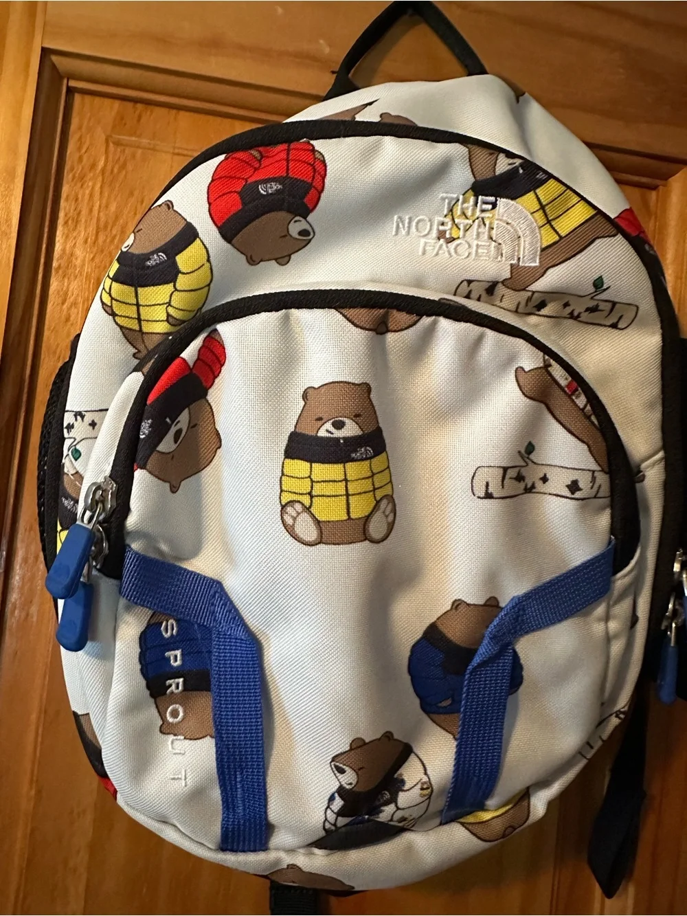 The North Face playful bear